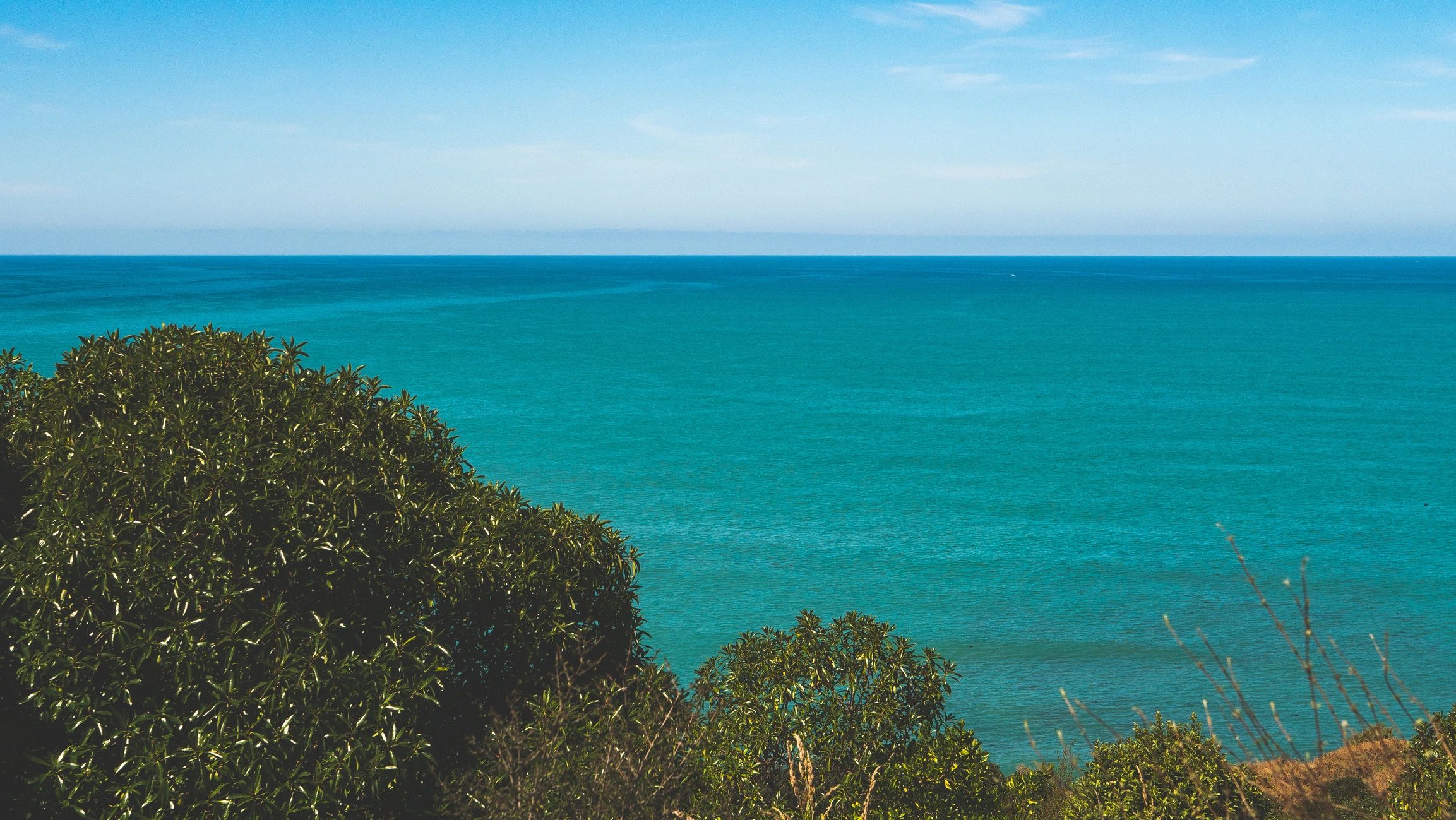 Oceania